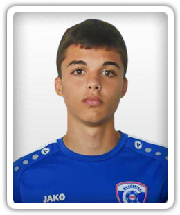 Aleksandar Aleksandrov