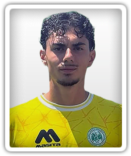 Adrian Briciu