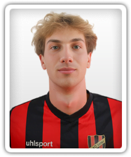 David Bednarcik