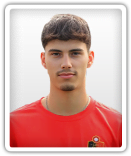 David Pinheiro