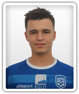 Denis Veskovic
