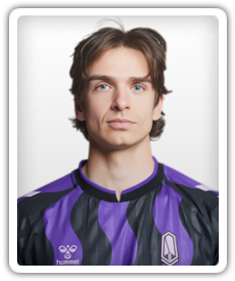 Matteo Schiavoni