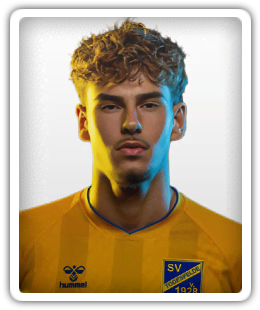 Merlin Sinanovic