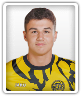 Julian Wartig