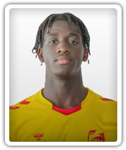 Florent Guilavogui