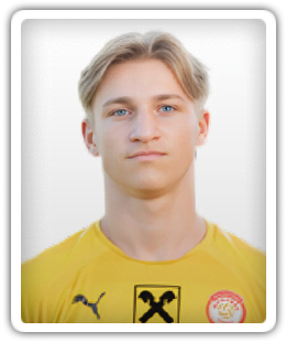 Karl Berger
