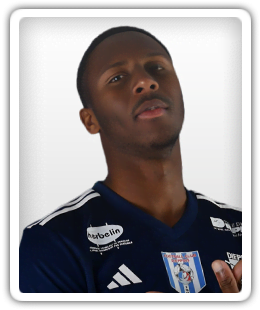 Salim Diaby
