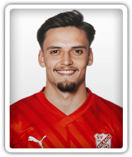 Miloš Lukic