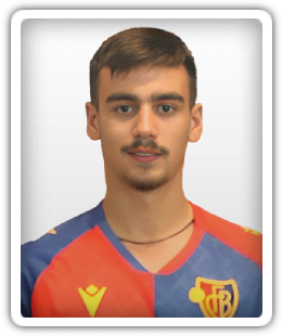 Nikola Gajic