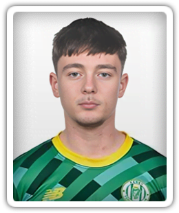 Steven Healy