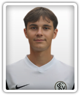 Mersad Hamzic