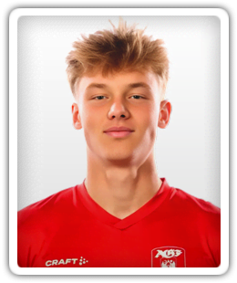 Marius van der Raad