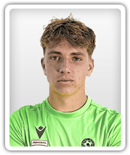 Dominik Samardzija