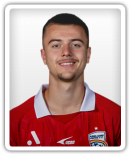 Vinko Stanisic
