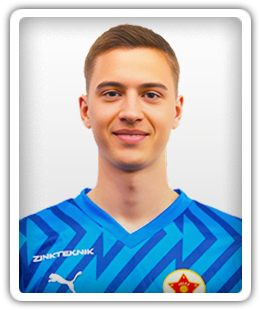 Tarik Karic