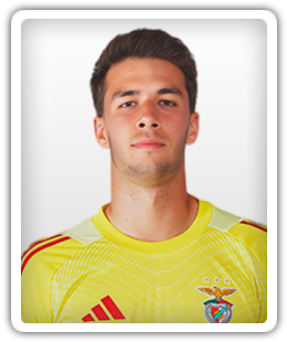 Luka Velickovic