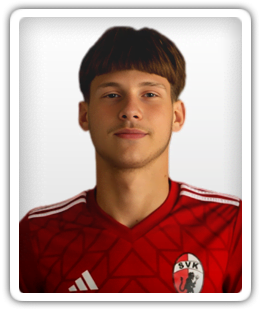 Sanel Jukic