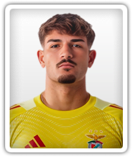 Diogo Ferreira