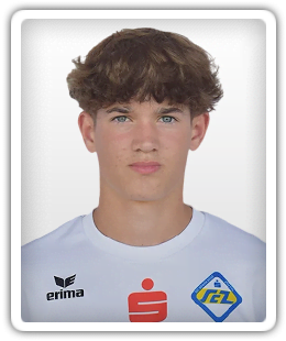 Nico Dornhackl