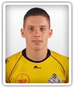 Luka Orsulic