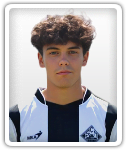 Pedro Vergueiro