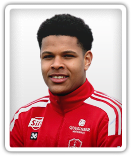 Raphaël Le Guen