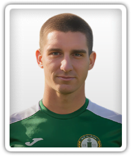 Tin Štricelj