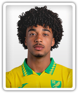Theo Adelusi