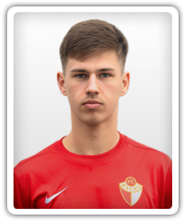 Denis Grosu