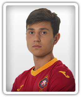 Tigran Gevorgyan