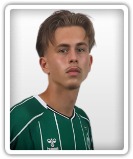 Noah Birkenpesch