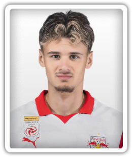 Kerim Alajbegovic