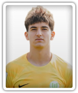 Tarik Karaman