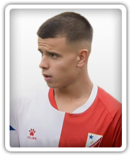 Srdan Borovina