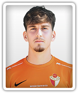 Lucian Anton