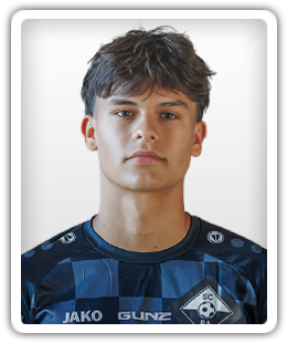 Nemanja Krstovic