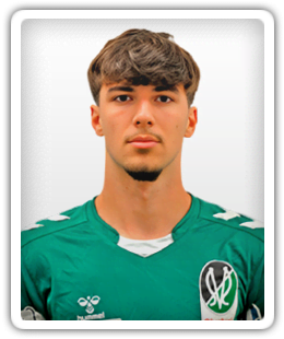 Paul Antic