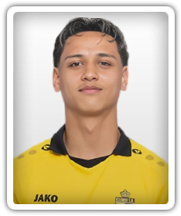Tiago Vermeulen
