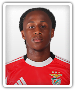 Mauro Furtado