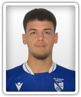 Danijel Dzajic