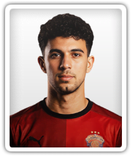 Ahmed Abdin