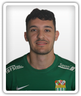 Gabriel Tolic