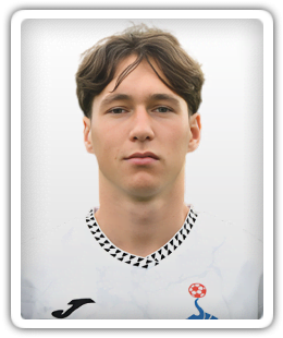 Tim Misvelj