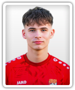 Dmytro Darenko