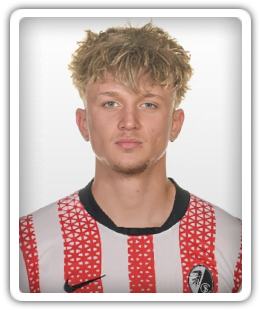 Raul Gogonea