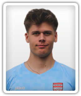 Medrik Roj
