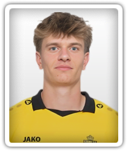 Thiebe Van Elsuwege