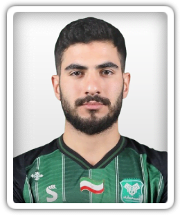 Hamid Hajiaghaei