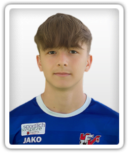 Hanan Begic