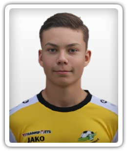 Luca-Noel Menges